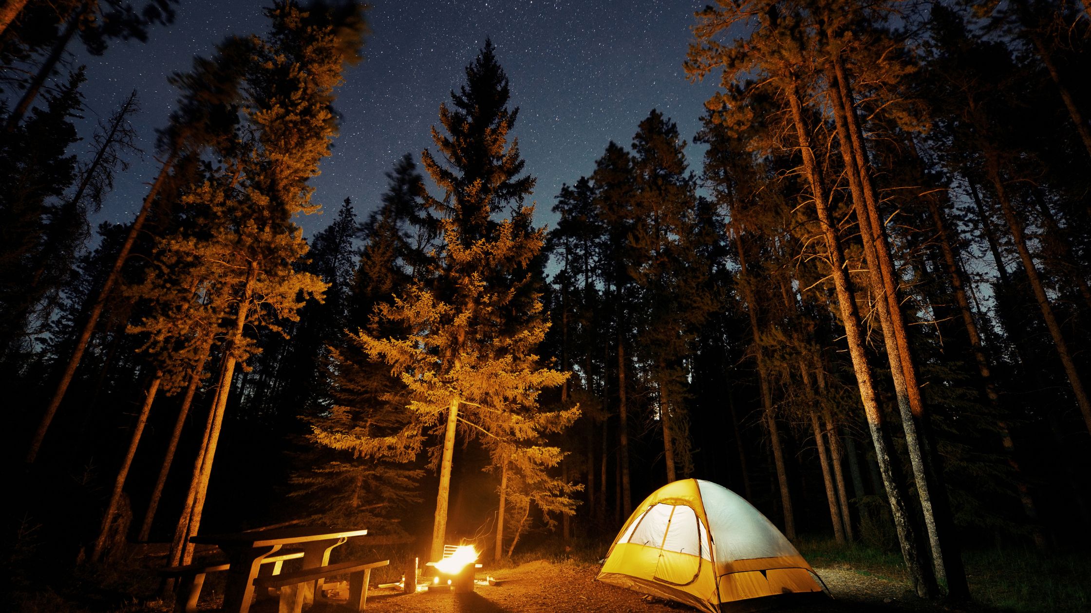 camp site under the stars
